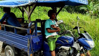 Download lagu Tahu Bulat Di Goreng Di Odong Odong Dadakan Enak || Back Sound Tahu Bulat Madura mp3 Download lagu Tahu Bulat Di Goreng Di Odong Odong Dadakan Enak || Back Sound Tahu Bulat Madura mp3