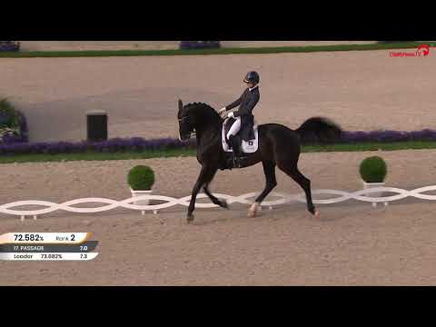 Everdale (Lord Leatherdale x Negro) CHIO Aachen 2019