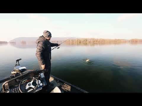 Z-Man Project Z ProFileZ: Joe Raymond