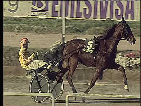 Trotto 04/12/2018 - 1ª corsa