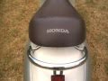 Honda Scoopy Walk Around