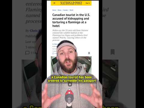 BREAKING NEWS #canada #canadian #usa #jokes #funny