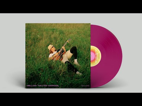 MELLOW YELLOW DAFFODIL - Šoki x V.V