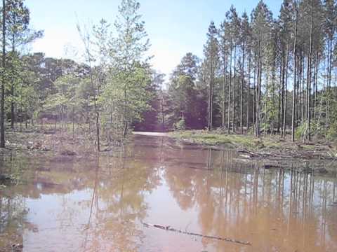 Mobile-Tensaw Delta flooding 04-14