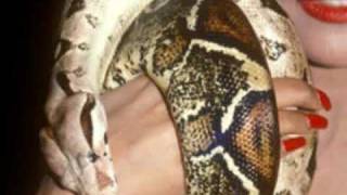 La Toya Jackson - Ain&#39;t Nobody Loves You (Extended Mix) (1987)