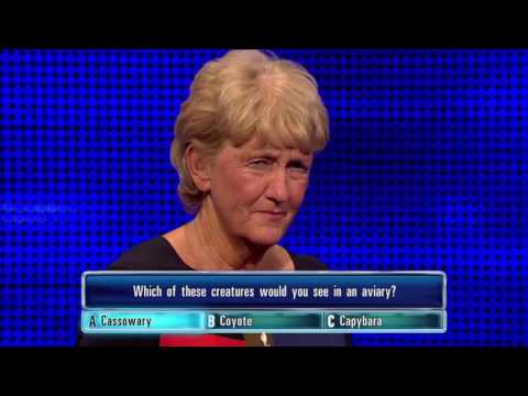 Lyn Gets Her Aviary Question Right - The Chase