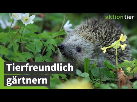 Tierfreundlich gärtnern ohne Maschinen | aktion tier Kampagne