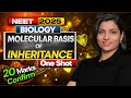 Molecular Basis Of Inheritance One Shot