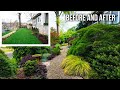 Incredible Garden - 10 Favorite Plants - Plus Before and After Photos