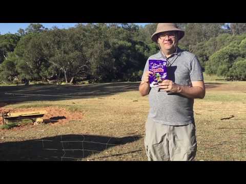 Eating Freddo Frogs on a farm Outside of Perth.