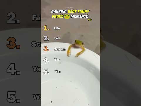 Classement des meilleurs moments de la grenouille