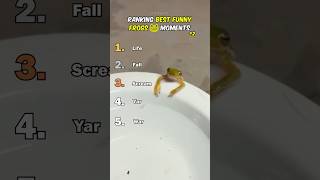Miniature vidéo