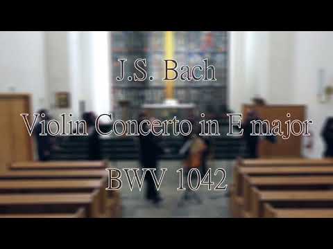 J.S. Bach Violin Concerto in E major BWV 1042 | De Profundis Ensemble