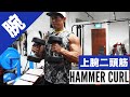 【上腕二頭筋トレ】ハンマーカールの正しいフォーム・やり方をご紹介 | 前腕・長頭を狙った腕を太くするトレーニング！