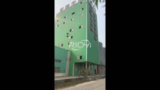 Richi Machinery Cattle Feed Pellet Production Line Project