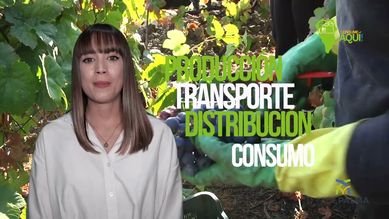 Consume Aquí: ¿Qué es el consumo local? | #Fedepalma