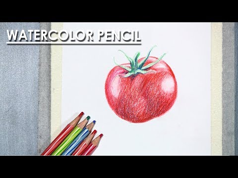 Mountains and Pine Tress Watercolor Pencil Landscape Drawing | steps to follow