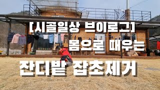 [시골일상 브이로그] 잡초는 왜?