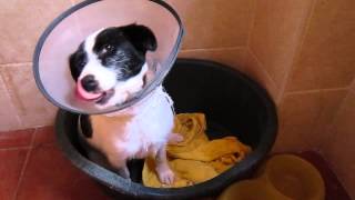 Mili day 2 after operation, her eye hurts!