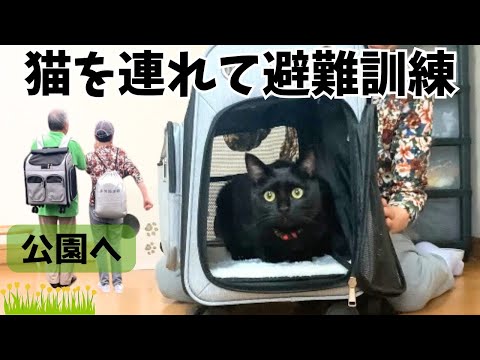 火災竜巻:非常にまれですが致命的 – 研究者はパズルに直面しています