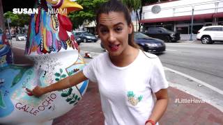 Miami: Explore the Magic City with Susan