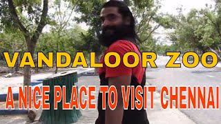 preview picture of video 'VANDALOOR ZOO( ARIGNAR ANNA ZOLOGICAL PARK) A NICE PLACE TO VISIT  CHENNAI (malayalam travel video))'