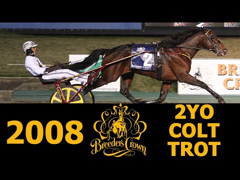 2008 Breeders Crown - Muscle Hill - 2CT