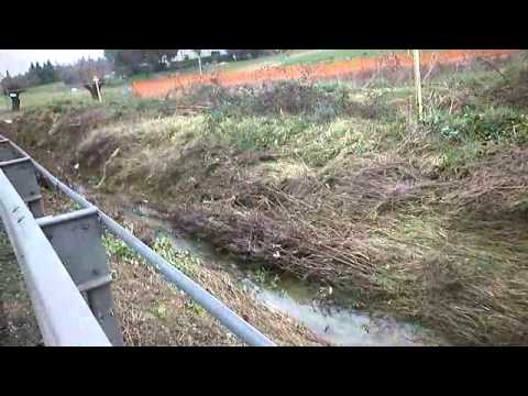 Castelfidardo, pioggia e danni a Monte Camillone