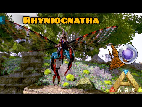 |ARK MOBILE| 🔴 COMO DOMESTICAR TERRENEITOR (RHYNIOGNATHA)😎 Y TODAS SUS HABILIDADES-ARK