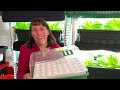 Using Park Seed Bio Dome Seed Starter Kit With Hydroponics