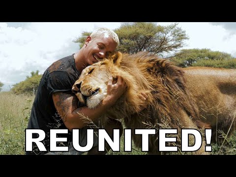 Dean Schneider - Reunited with the Lions
