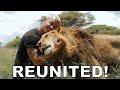 Dean Schneider Reunited With The Lions