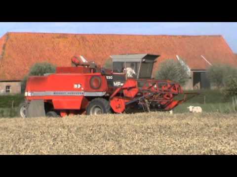 Massey Ferguson 530 te Zuienkerke