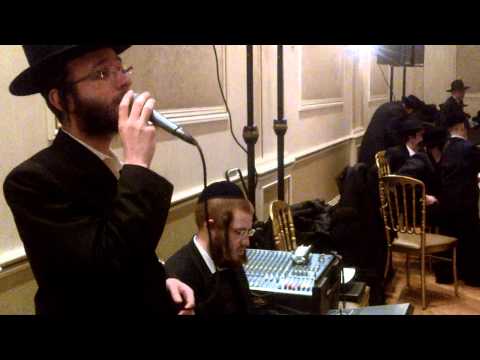 Menachem Moskowitz singing at wedding with avrumi berko
