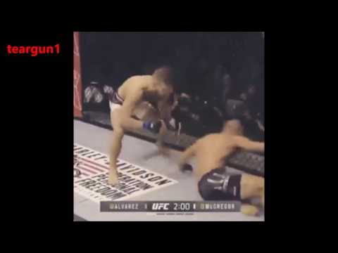 Conor McGregor vs Eddie Alvarez Knockdown Highlights-UFC 205