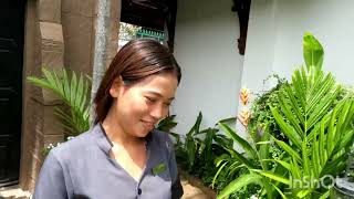 Papas hotel, Siem Reap, Cambodia.