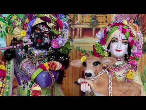 Cute PremaFelt needle felted animals