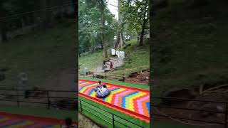 Download lagu Woodland Kuningan Jawa Barat @perosotan pelangi mp3