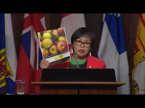 NDP press conference to present solutions to fight cost of living in the North | APTN News