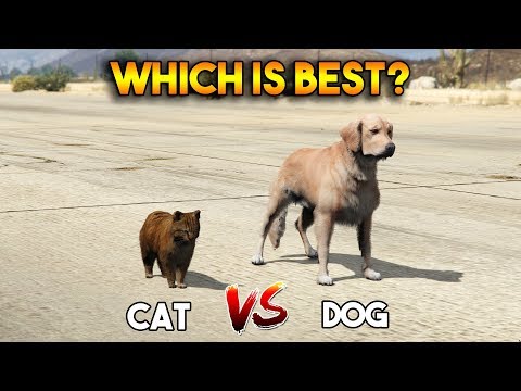 GTA 5 ONLINE : CAT VS DOG (WHICH IS BEST?)