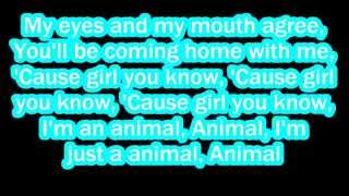 The Cab Animal Lyrics