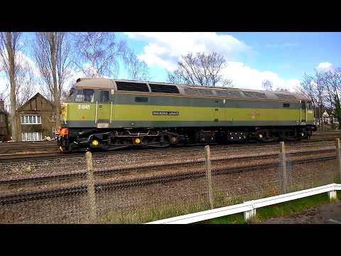 D1645 / 47830 "Beeching's Legacy" approaching Woking and then returning at West Byfleet on 01/04/22