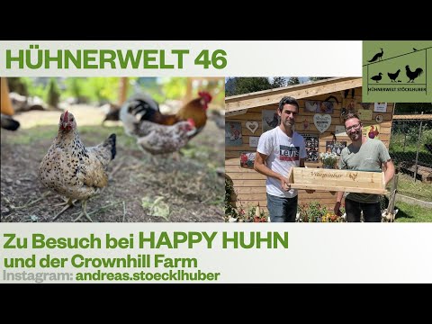 Hühnerwelt 46 Mein Besuch bei Robert Höck im Sommer 2022