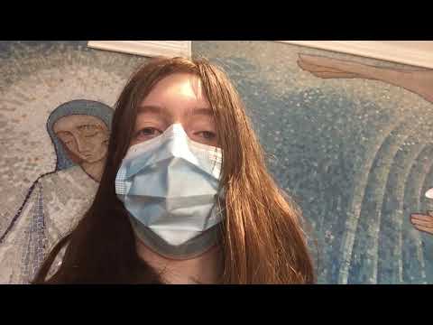 Intro   Polar bear cub surprised by seal