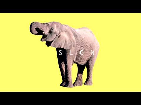 LATEXFAUNA Slon / Ajahuaska / audio & lyrics