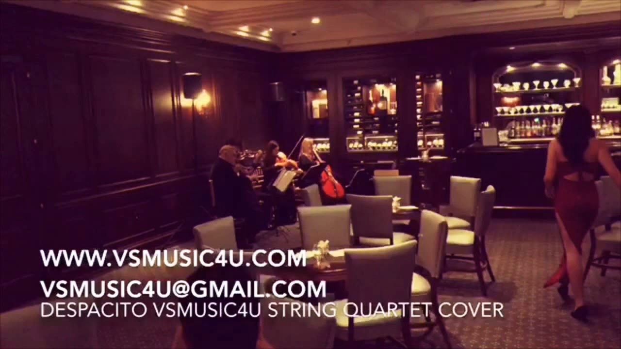 Promotional video thumbnail 59 for VSmusic4u Wedding & Event Musicians
