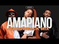 Amapiano Throwback 2019 2020 MIX OLD AMAPIANO DJ Maphorisa Kabza De Small Vigro Deep