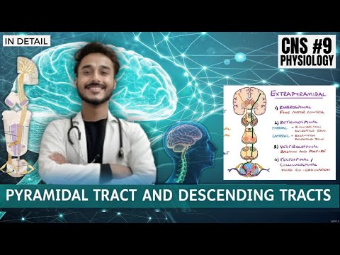 Pyramidal tracts physiology | descending tract of spinal cord physiology| CNS Physiology Johari MBBS
