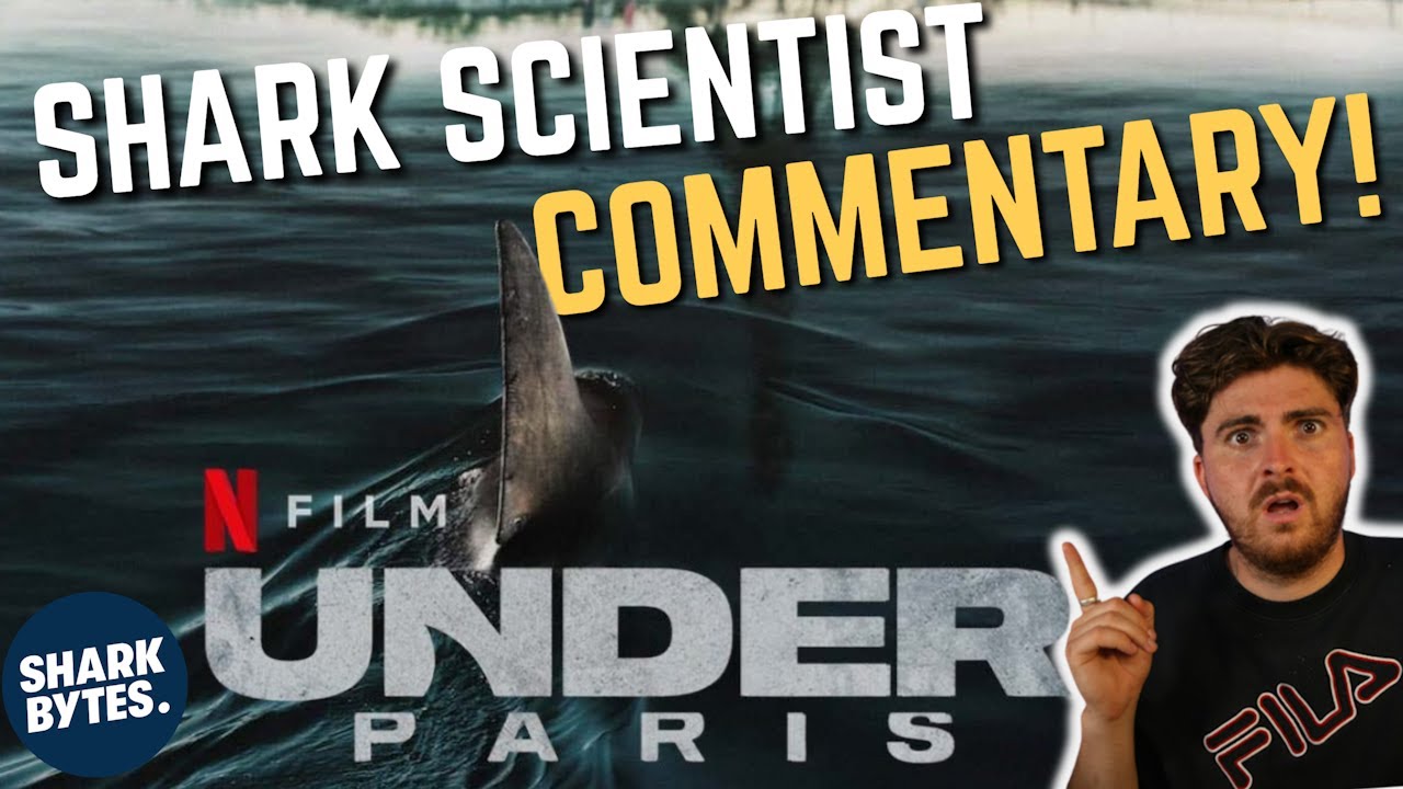Shark Scientist Reacts to 'Under Paris' (Movie Commentary & Reaction)