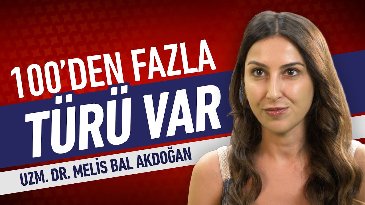 Melis Bal Akdoğan-5